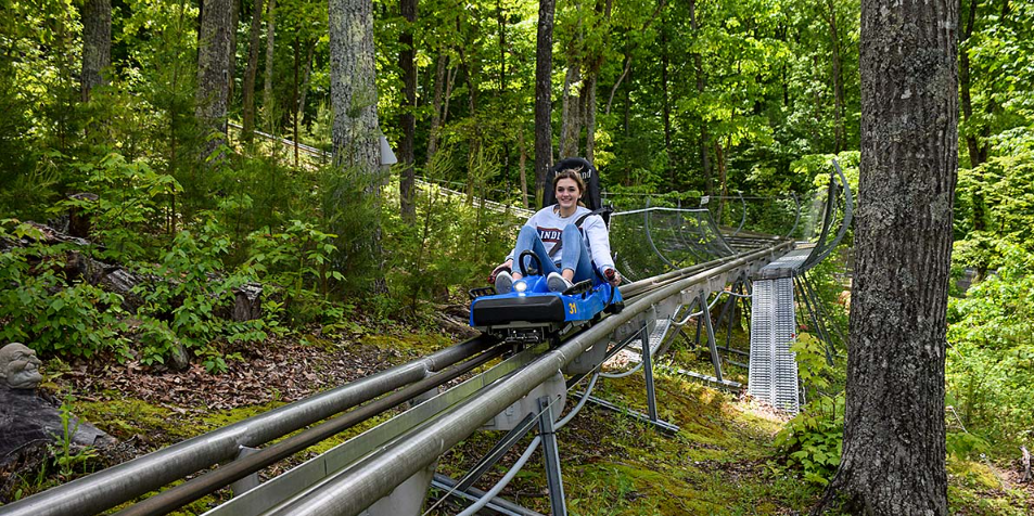 Goats on the Roof of the Smoky Mountains, United States